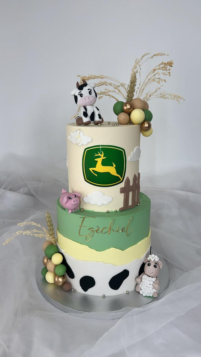 Gâteau d'anniversaire personnalisé réalisé par Chyraze Pâtisserie — modèle 21