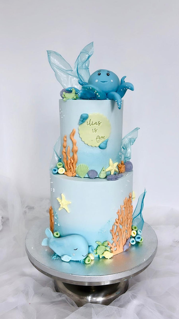 Gâteau d'anniversaire personnalisé réalisé par Chyraze Pâtisserie — modèle 28